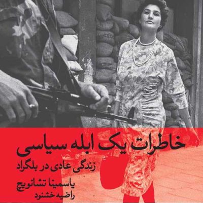 نقد کتاب دفترچه خاطرات یک ابله سیاسی